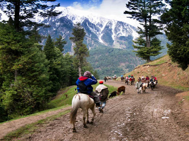 Urbania Tempo Traveller Srinagar