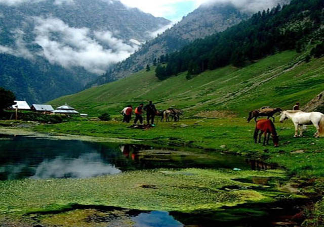 Urbania Tempo Traveller Srinagar